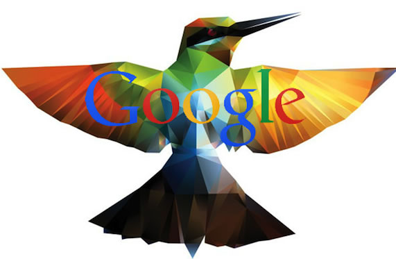 站长图卦：谷歌推出蜂鸟算法